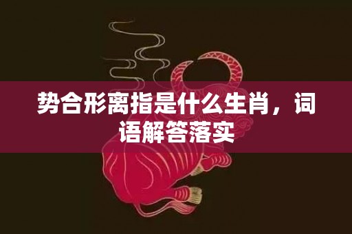 势合形离指是什么生肖，词语解答落实