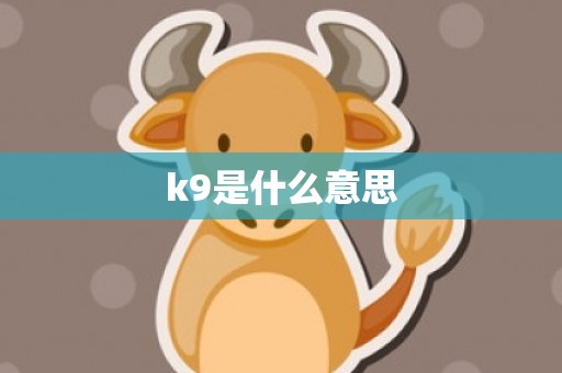 k9是什么意思