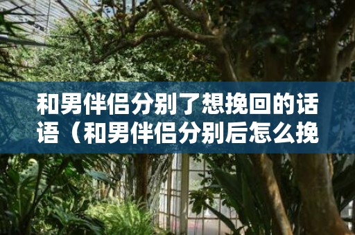 和男伴侣分别了想挽回的话语（和男伴侣分别后怎么挽回）