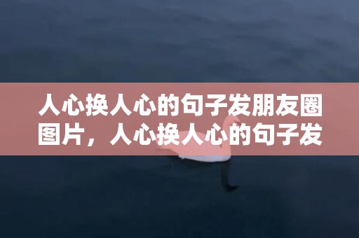 人心换人心的句子发朋友圈图片，人心换人心的句子发朋友圈亲情，看清了一些人心酸句子