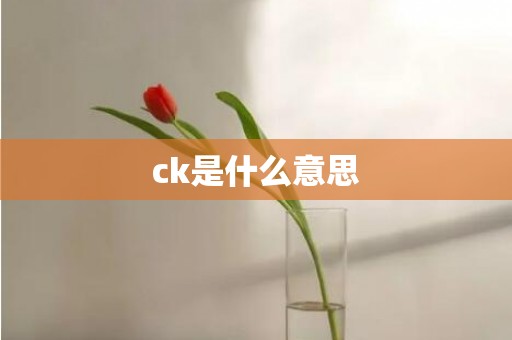 ck是什么意思