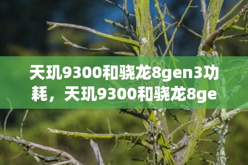 天玑9300和骁龙8gen3功耗，天玑9300和骁龙8gen3哪个厉害