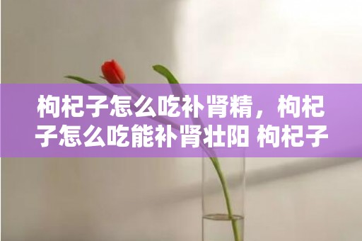 枸杞子怎么吃补肾精，枸杞子怎么吃能补肾壮阳 枸杞子怎么吃