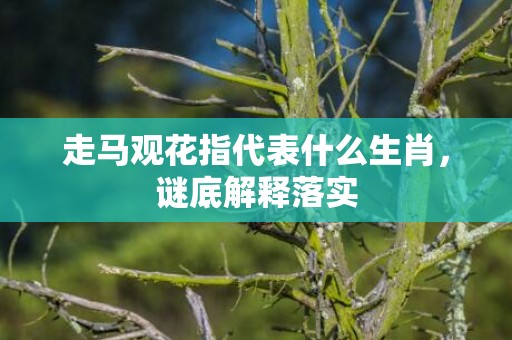 走马观花指代表什么生肖，谜底解释落实