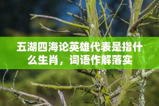 五湖四海论英雄代表是指什么生肖，词语作解落实