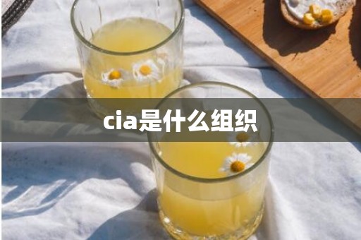 cia是什么组织