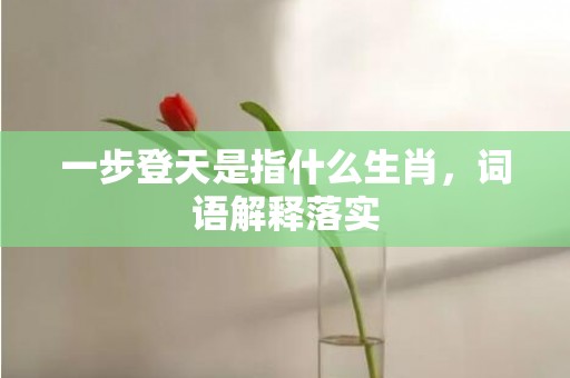 一步登天是指什么生肖，词语解释落实