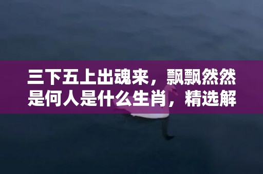 三下五上出魂来，飘飘然然是何人是什么生肖，精选解释落实