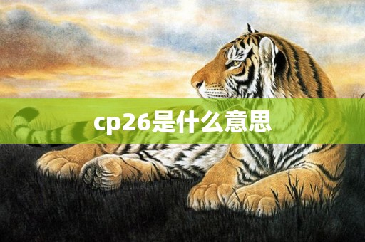 cp26是什么意思