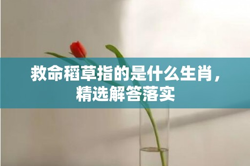 救命稻草指的是什么生肖，精选解答落实