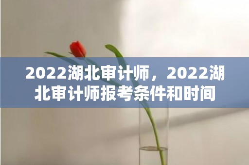 2022湖北审计师，2022湖北审计师报考条件和时间