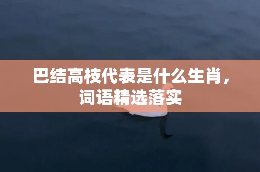 巴结高枝代表是什么生肖，词语精选落实