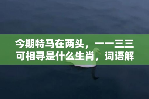 今期特马在两头，一一三三可相寻是什么生肖，词语解释落实