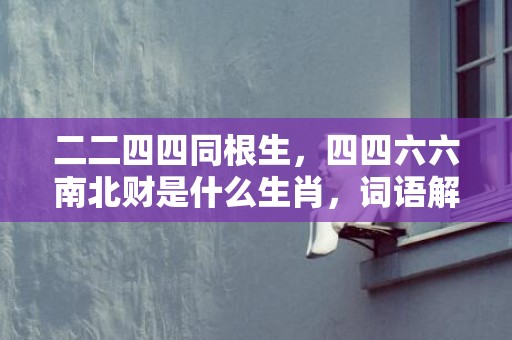 二二四四同根生，四四六六南北财是什么生肖，词语解释落实