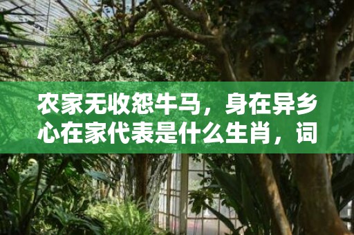 农家无收怨牛马，身在异乡心在家代表是什么生肖，词语精选落实