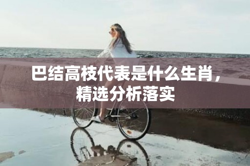 巴结高枝代表是什么生肖，精选分析落实