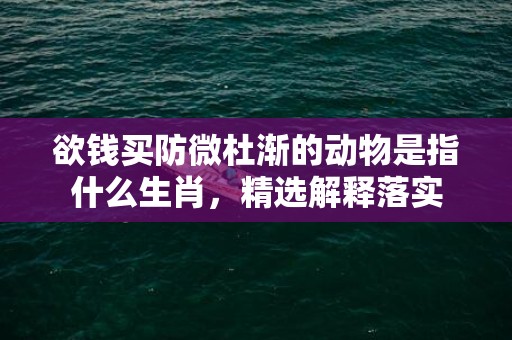 欲钱买防微杜渐的动物是指什么生肖，精选解释落实