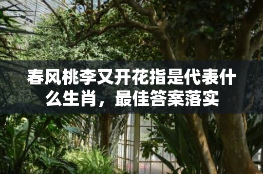 春风桃李又开花指是代表什么生肖，最佳答案落实