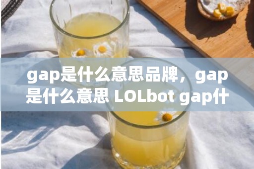 gap是什么意思品牌，gap是什么意思 LOLbot gap什么梗