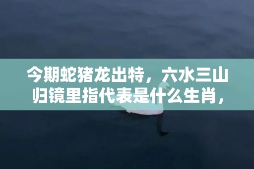 今期蛇猪龙出特，六水三山归镜里指代表是什么生肖，答案分析落实