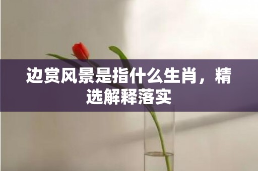 边赏风景是指什么生肖，精选解释落实