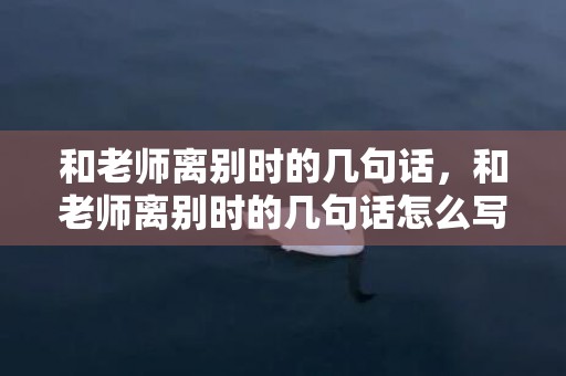 和老师离别时的几句话，和老师离别时的几句话怎么写