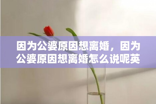 因为公婆原因想离婚，因为公婆原因想离婚怎么说呢英语怎么说