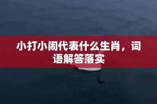 小打小闹代表什么生肖，词语解答落实