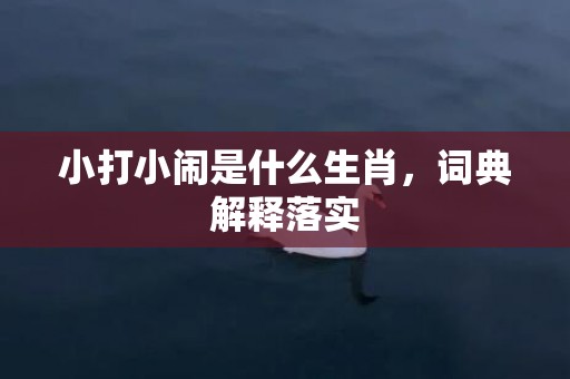 小打小闹是什么生肖，词典解释落实