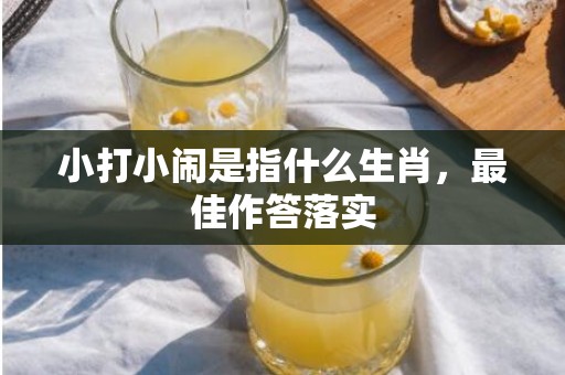 小打小闹是指什么生肖，最佳作答落实