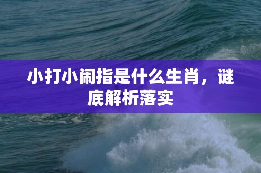 小打小闹指是什么生肖，谜底解析落实