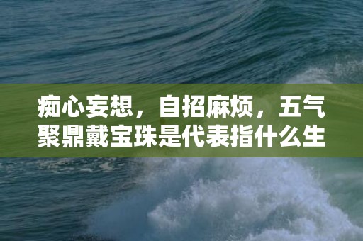 痴心妄想，自招麻烦，五气聚鼎戴宝珠是代表指什么生肖，词语解释落实