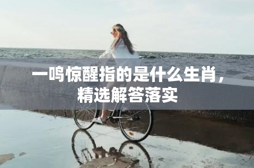 一鸣惊醒指的是什么生肖，精选解答落实