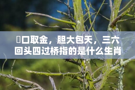 鱷口取金，胆大包天，三六回头四过桥指的是什么生肖，精选解答落实