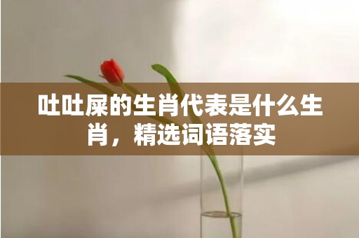 吐吐屎的生肖代表是什么生肖，精选词语落实