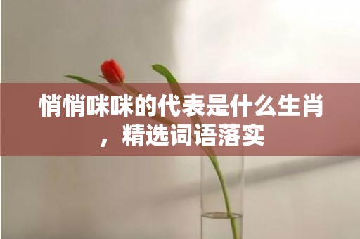 悄悄咪咪的代表是什么生肖，精选词语落实