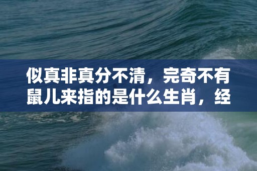 似真非真分不清，完奇不有鼠儿来指的是什么生肖，经典解释落实