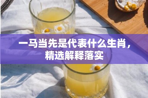 一马当先是代表什么生肖，精选解释落实