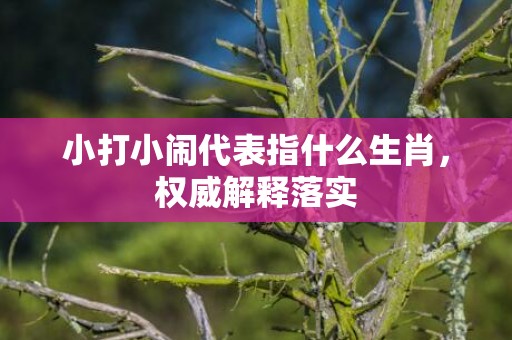 小打小闹代表指什么生肖，权威解释落实