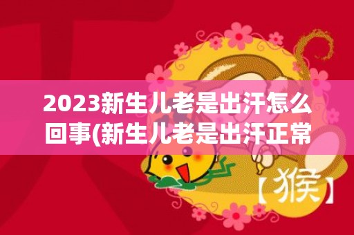 2023新生儿老是出汗怎么回事(新生儿老是出汗正常吗)