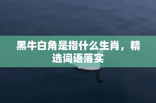 黑牛白角是指什么生肖，精选词语落实