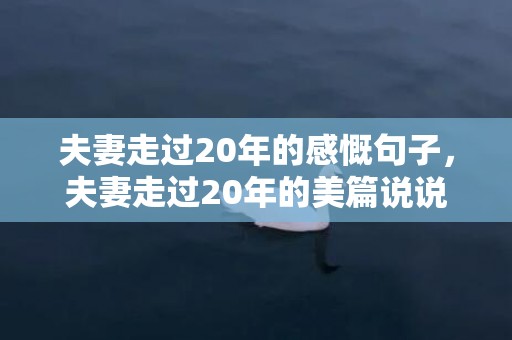 夫妻走过20年的感慨句子，夫妻走过20年的美篇说说