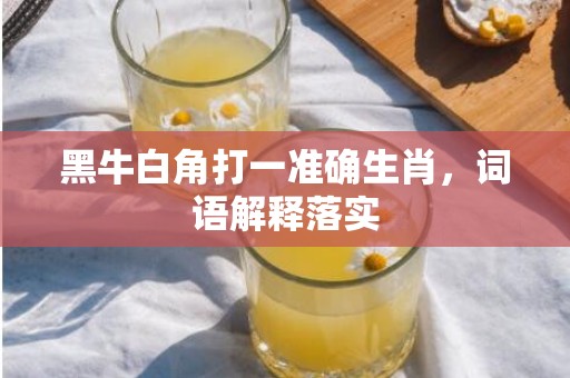 黑牛白角打一准确生肖，词语解释落实