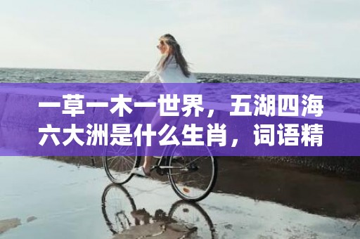 一草一木一世界，五湖四海六大洲是什么生肖，词语精选落实