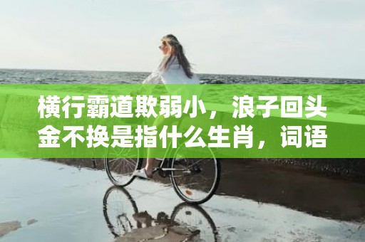 横行霸道欺弱小，浪子回头金不换是指什么生肖，词语解释落实