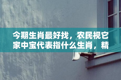 今期生肖最好找，农民视它家中宝代表指什么生肖，精选答案落实