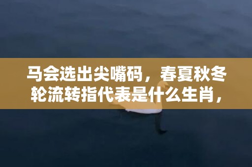 马会选出尖嘴码，春夏秋冬轮流转指代表是什么生肖，词语解答落实