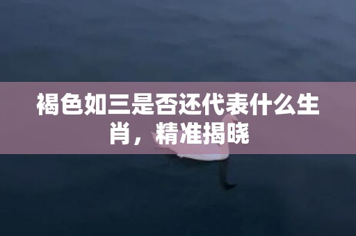 褐色如三是否还代表什么生肖，精准揭晓