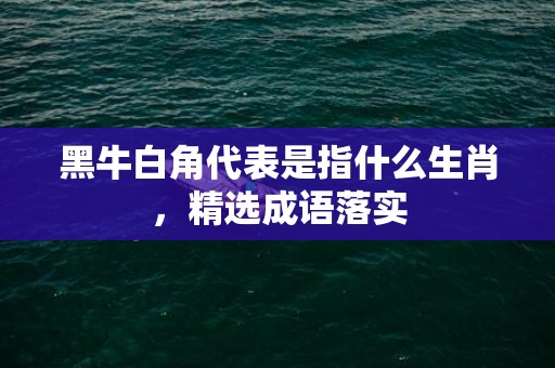 黑牛白角代表是指什么生肖，精选成语落实