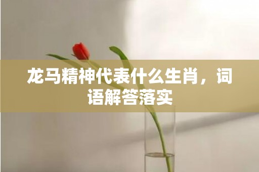 龙马精神代表什么生肖，词语解答落实